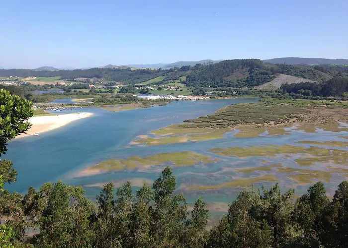 La Espina De Pechón