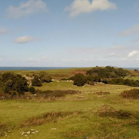 La Espina De 2* Pechón